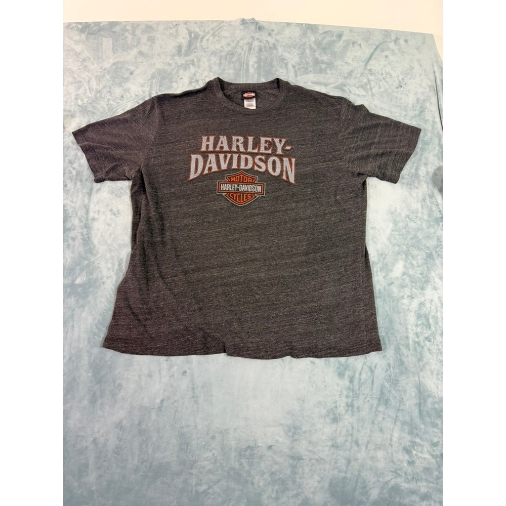 Harley-Davidson Tifton Georgia Graphic T-Shirt Gray Mens 3XL